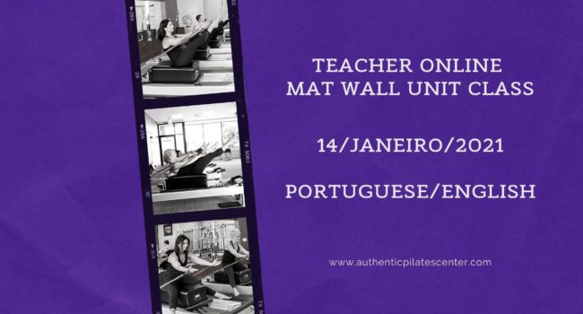 Teacher Online Mat Wall Unit Class 1/14 