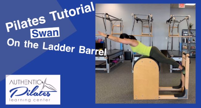 Ladder Barrel Swan Tutorial 