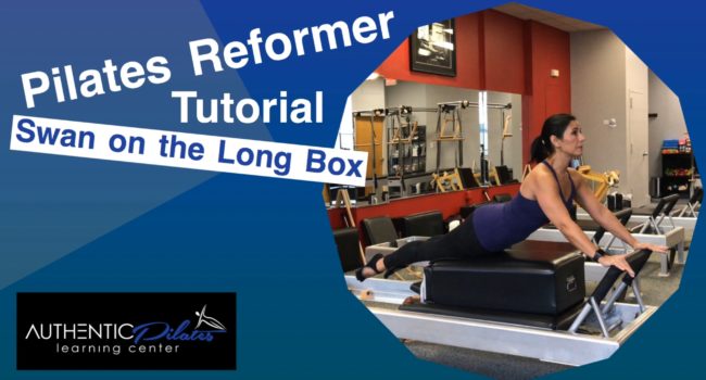 Reformer – Swan on the Long Box tutorial 