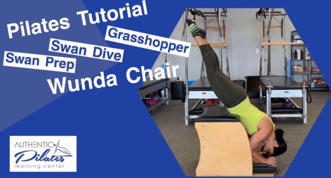 Wunda Chair Swan Tutorial 