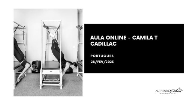 Aula Online Camila T – 2/28/23 