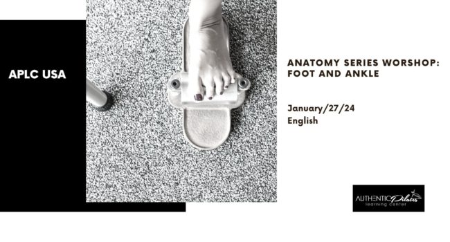 Anatomy Series: Foot and Ankle Workshop 