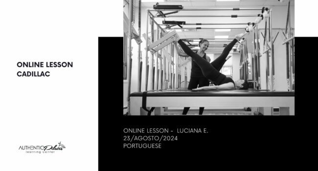 Online Lesson – Lu E. 23/agosto/24 